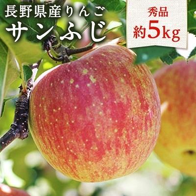 ふるさと納税 飯田市 太陽の光をたっぷりと浴びた 長野県産りんご(サンふじ)約5kg 秀品[11月下旬〜12月中旬発送]