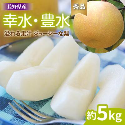 ふるさと納税 飯田市 溢れる果汁 ジューシーな梨(幸水・豊水)約5kg 秀品[2026年8月下旬〜9月中旬発送]