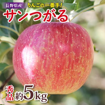 ふるさと納税 飯田市 りんごの一番手! 長野県産 りんご(サンつがる)約5kg 秀品[2026年9月上旬〜9月中旬発送]