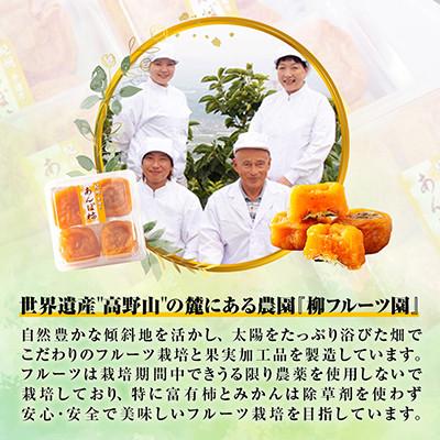ふるさと納税 橋本市 あんぽ柿【先行受付】柳フルーツ園「紀州手作り　あんぽ柿」24個入り |  | 03