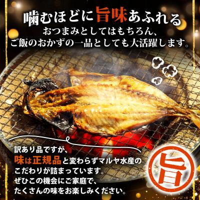 ふるさと納税 沼津市 【訳あり】干物 4kgおまかせセット 海鮮詰め合わせ(アジ、ホッケ、他) |  | 01
