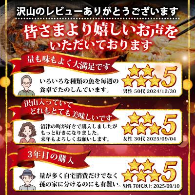 ふるさと納税 沼津市 【訳あり】干物 4kgおまかせセット 海鮮詰め合わせ(アジ、ホッケ、他) |  | 02