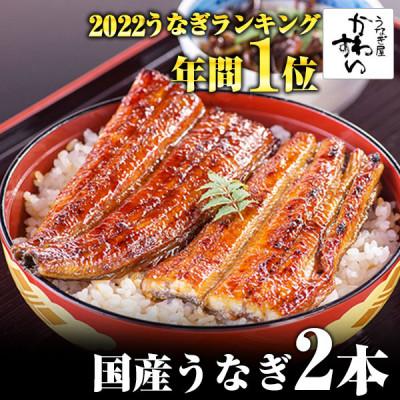 ふるさと納税 有田市 [寄付額変更 15,000円→13,000円]大サイズ 国産うなぎ蒲焼 2尾(300g〜338g)