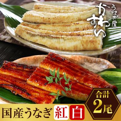 ふるさと納税 有田市 国産うなぎ 蒲焼き・白焼き 合計2尾セット (総量270g以上)