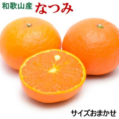 ふるさと納税 海南市 [希少柑橘]和歌山県産 なつみ約5kg(S〜2Lサイズおまかせ)(海南市)