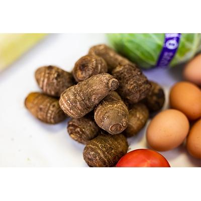 ふるさと納税 八王子市 東京・八王子産 とれたて新鮮野菜&amp;卵の詰め合わせセット