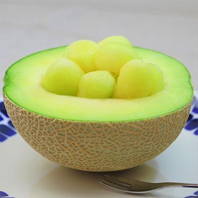 ふるさと納税 田原市 JA愛知みなみがお届けするアールスメロン[2玉]