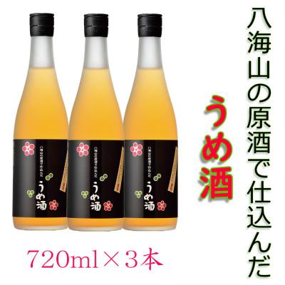 ふるさと納税 南魚沼市 八海山の原酒で仕込んだ「うめ酒」四合瓶×3本セット | 