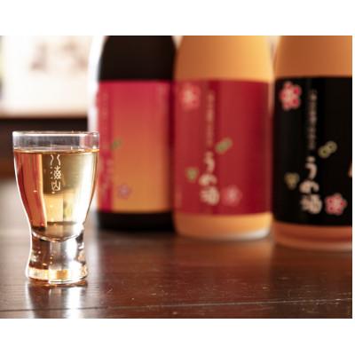 ふるさと納税 南魚沼市 八海山の原酒で仕込んだ「うめ酒」四合瓶×3本セット |  | 01