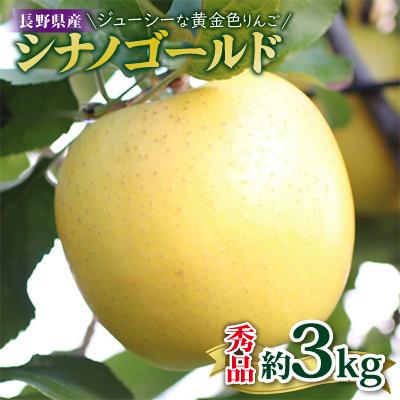 ふるさと納税 飯田市 ジューシーな黄金色りんご(シナノゴールド) 約3kg 秀品[2026年10月下旬〜11月下旬発送]