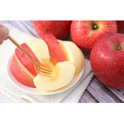 ふるさと納税 飯田市 人気の品種!長野県産りんご(サンふじ) 約3kg 秀品<2026年11月下旬〜12月中旬発送> |  | 03