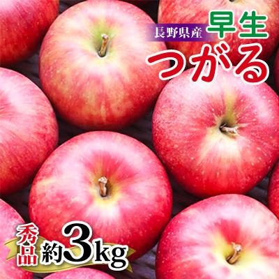 ふるさと納税 飯田市 [長野県産]早生りんご(つがる)約3kg 秀品[2026年9月上旬〜9月中旬発送]
