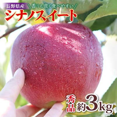ふるさと納税 飯田市 香りも良く食べやすい!長野県産シナノスイート(約3kg)秀品[2026年10月中旬〜11月中旬発送]