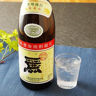 ふるさと納税 日出町 大分むぎ焼酎 二階堂25度・麗25度2本セット
