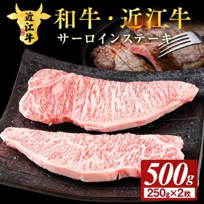 ふるさと納税 甲賀市 近江牛サーロインステーキ用　250g×2枚 | 