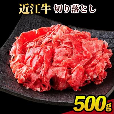 ふるさと納税 甲賀市 近江牛切り落とし 500g