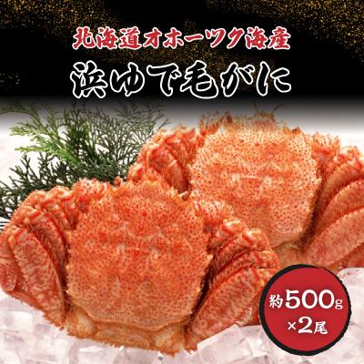 ふるさと納税 稚内市 北海道オホーツク海産 浜ゆで毛がに 約500g×2尾