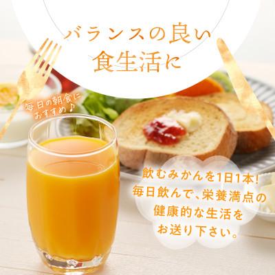 ふるさと納税 有田市 【早和果樹園】飲むみかん180ml×20本入|有田みかん100%ストレートジュース　毎朝の1本に! |  | 02
