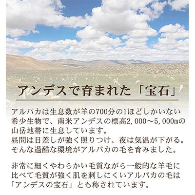 ふるさと納税 泉大津市 アルパカ毛布　シングルサイズ |  | 02