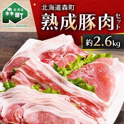 ふるさと納税 森町 北海道産熟成豚肉セット約2.6kg