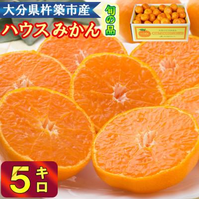 ふるさと納税 杵築市 冷やしてひんやり!甘さ広がるハウスミカン!約5kg入り(バラ詰め)