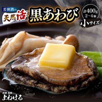 ふるさと納税 美浜町 [金曜日発送]若狭湾の天然活黒アワビ 400g