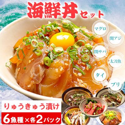 ふるさと納税 杵築市 豊後絆屋 海鮮丼[りゅうきゅう漬け] 6種(本マグロ・関あじ・関さば・太刀魚・真鯛・ぶり) 各2食