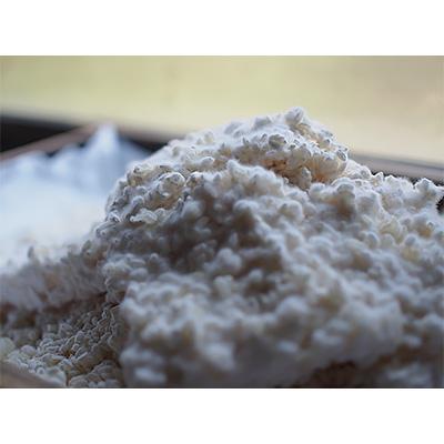 ふるさと納税 玉名市 [熊本県産]生米麹2kg(1kg×2袋)