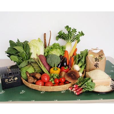 ふるさと納税 芝山町 野菜セット「大地の恵みセット」10〜12種+コシヒカリ10kg[令和7年産] +古代米バウムクーヘン