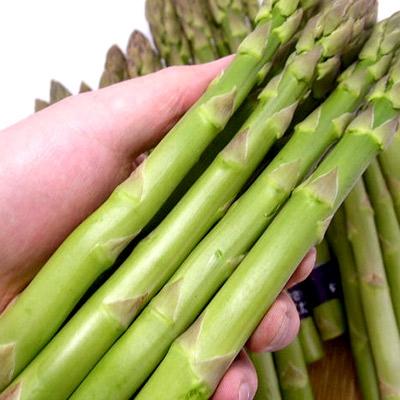 ふるさと納税 森町 (先行予約)北海道森町産 グリーンアスパラL〜2Lサイズ 700g