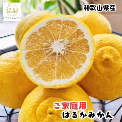 ふるさと納税 湯浅町 ≪先行予約 2027年1月〜発送≫[人気柑橘]有田育ちのはるかみかん(ご家庭用) 7.5kg
