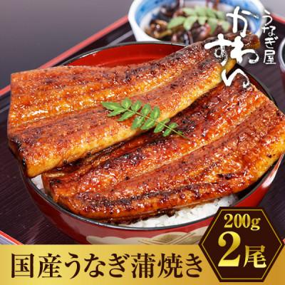 ふるさと納税 有田市 限定1000セット。大きい! 国産うなぎ蒲焼2尾セット(総量400g以上)