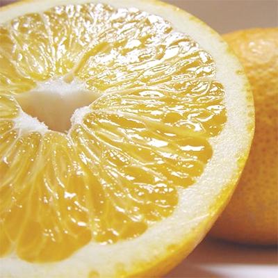 ふるさと納税 湯浅町 [先行受付・2026年2月〜発送]有田育ちの濃厚八朔(ご家庭用) 5kg