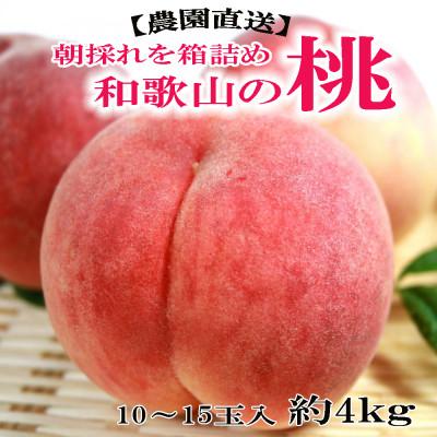 ふるさと納税 紀の川市 [農園直送]朝採れの和歌山の桃 約4kg・秀品[先行予約 2027年度発送分]