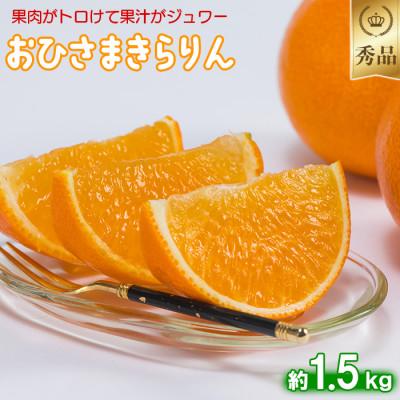 ふるさと納税 杵築市 今村農園のおひさまきらりん 約1.5kg [秀品]