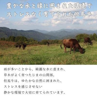 ふるさと納税 豊岡市 但馬牛　赤身スライス(モモ・肩部位)1kg |  | 02