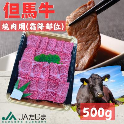 ふるさと納税 豊岡市 但馬牛 焼肉用(霜降り部位)500g