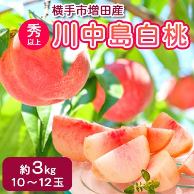 ふるさと納税 横手市 横手市増田産の桃(川中島白桃)約3kg 秀以上 10玉〜12玉