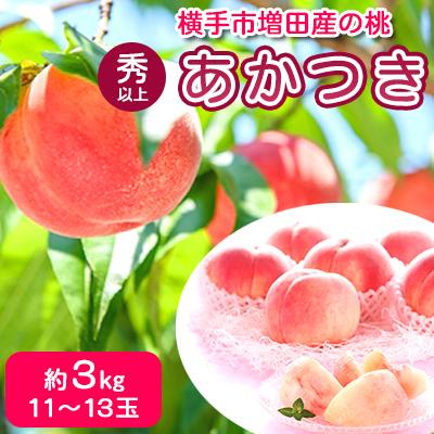 ふるさと納税 横手市 横手市増田産の桃(あかつき)約3kg 秀以上 11玉〜13玉