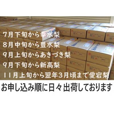 ふるさと納税 唐津市 人気品種のみ　特栽　今が食べごろ!旬の梨5kg　佐賀県唐津市産 |  | 03