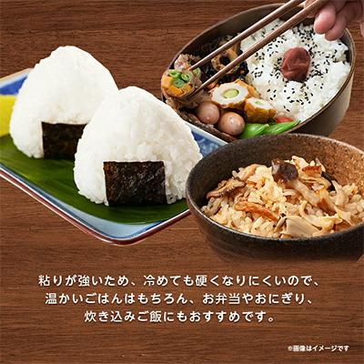 ふるさと納税 稲敷市 新米【令和8年産】ミルキークイーンのふるさと『稲敷市』からふっくらもっちりミルキークイーン10kg |  | 01