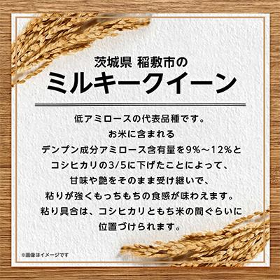 ふるさと納税 稲敷市 【令和6年産】ミルキークイーンのふるさと『稲敷 