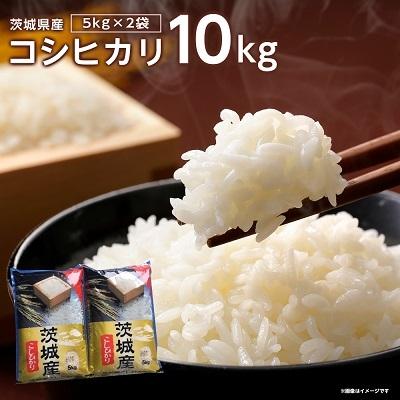 ふるさと納税 稲敷市 新米[令和7年産]代表的なお米 茨城県産コシヒカリ10kg