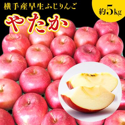 ふるさと納税 横手市 ご家庭用 横手市増田地区で発見された品種!横手産早生ふじりんご[やたか]約5kg