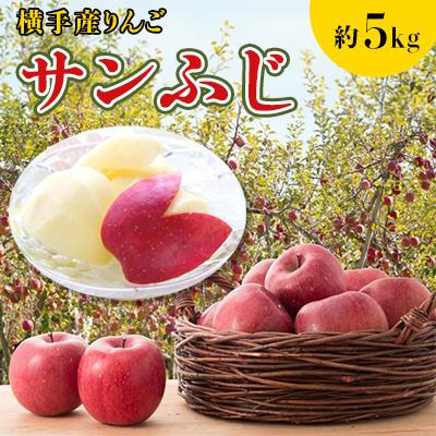ふるさと納税 横手市 ご家庭用 横手産りんご[サンふじ]約5kg