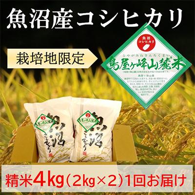 ふるさと納税 魚沼市 令和7年産[魚沼コシヒカリ]鳥屋ヶ峰山麓米 4kg (精米2kg×2袋)