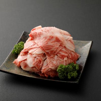 ふるさと納税 えびの市 [宮崎県産] 黒毛和牛4等級以上使用 小間切れ500g