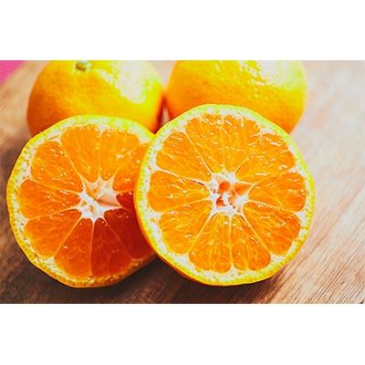 ふるさと納税 玉東町 ぎょくだんケンのみかん 5kg(サイズおまかせ)