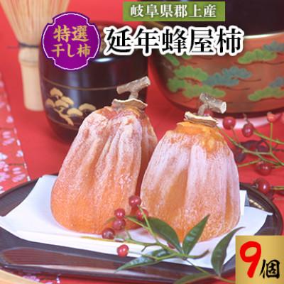 ふるさと納税 郡上市 岐阜県郡上産蜂屋柿の特選干し柿 延年蜂屋柿[9個]