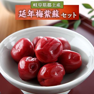 ふるさと納税 郡上市 延年梅紫蘇セット